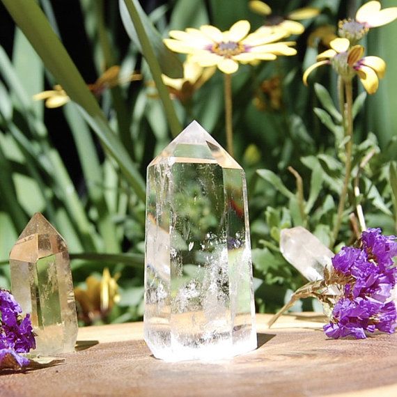 Blog • Além da Pele