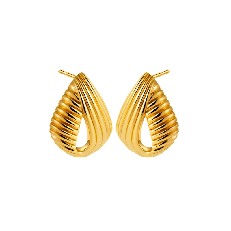 Brincos Aura Twist