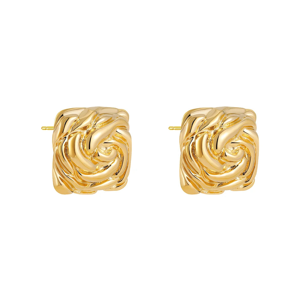 Brincos Aura Twist