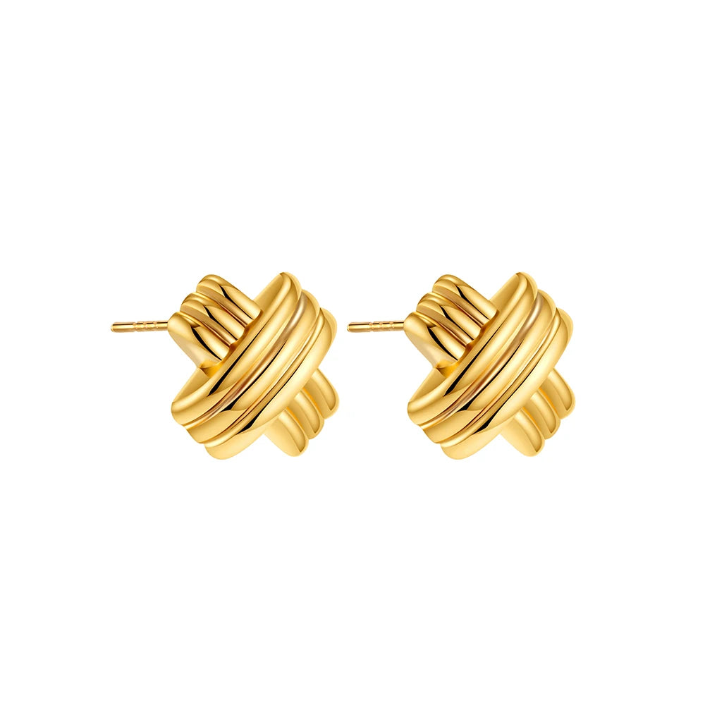 Brincos Aura Twist